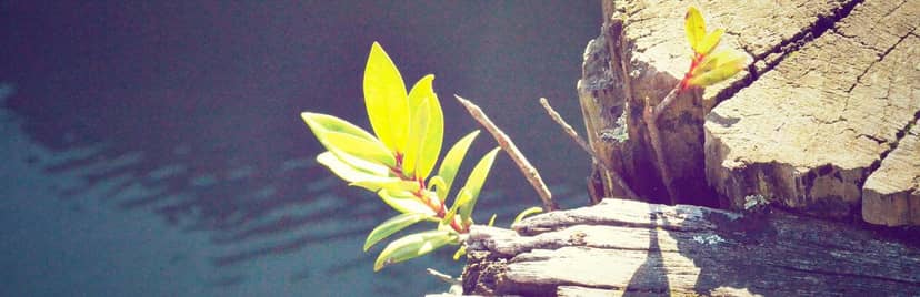 Unauth title nJQaUJLG